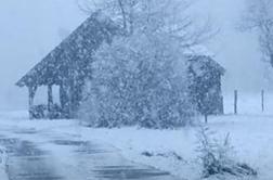 Zimska pravljica: tako močno je snežilo na Bledu #video
