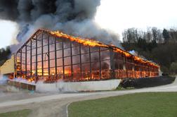 Velik požar blizu slovenske meje usoden za več konj #foto #video