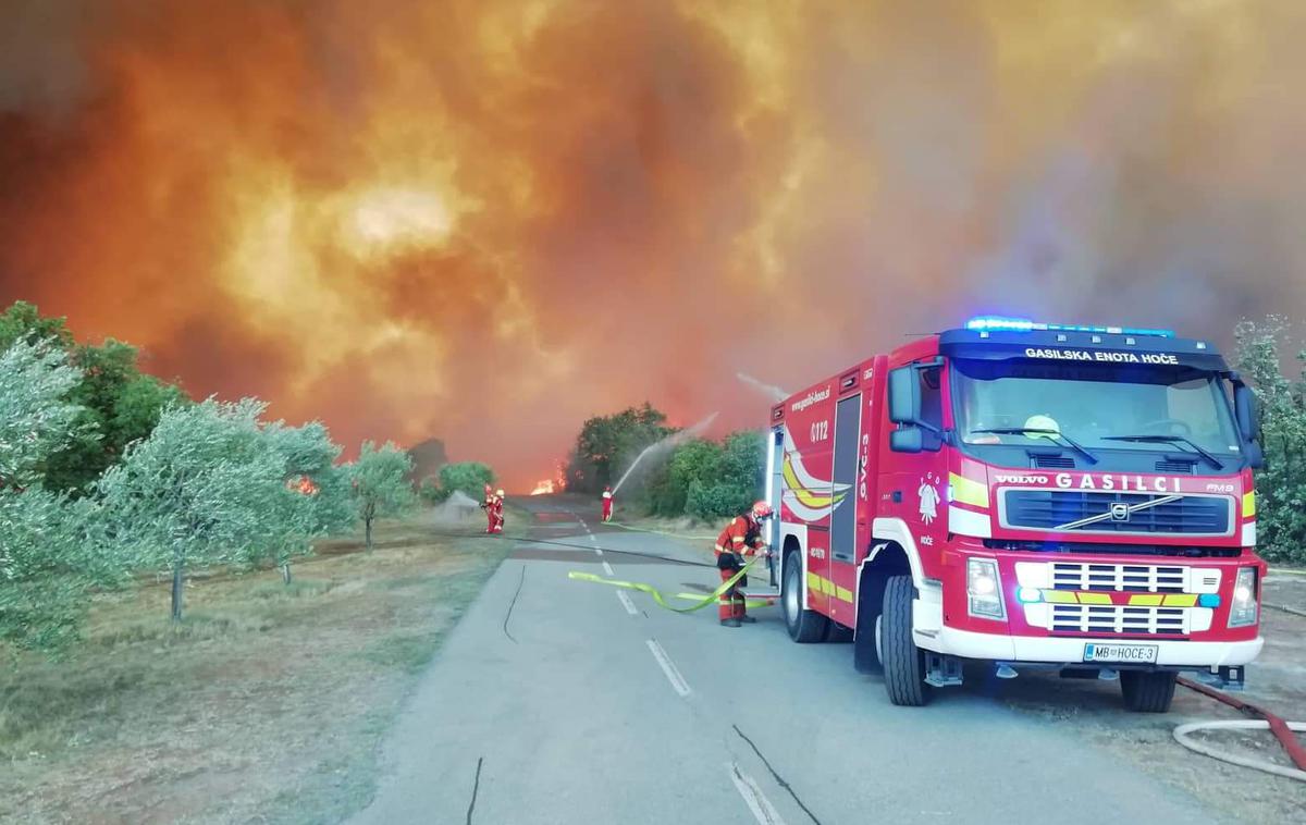 Požar na Krasu | Foto Matjaž Marušič / gasilska enota Nova Gorica
