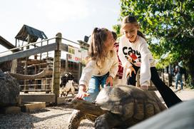 marolt zoo land mcdonalds