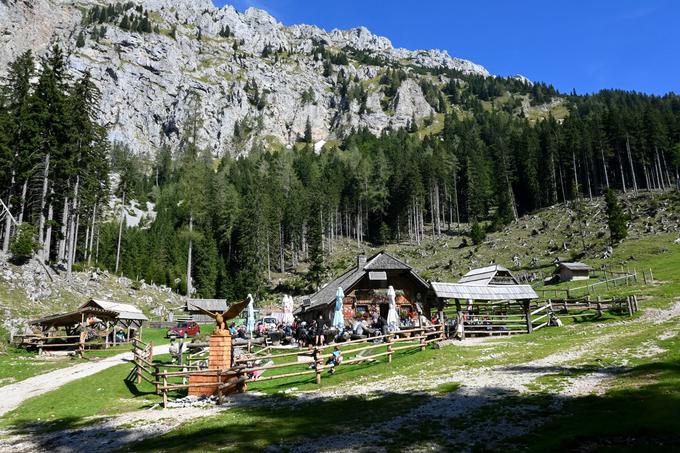 Planina Spodnja Dolga njiva pod grebenom Košute | Foto: Matej Podgoršek