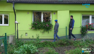 Plesen po vogalih in rosa na oknih: to rešitev so uporabili številni Slovenci