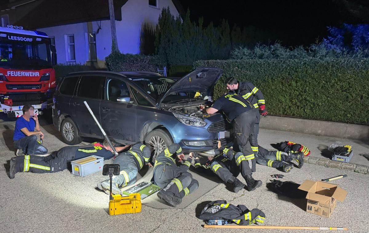 Suvenir mucek | Reševali so ga 45 minut.  | Foto FB/Freiwillige Feuerwehr Baden-Leesdorf