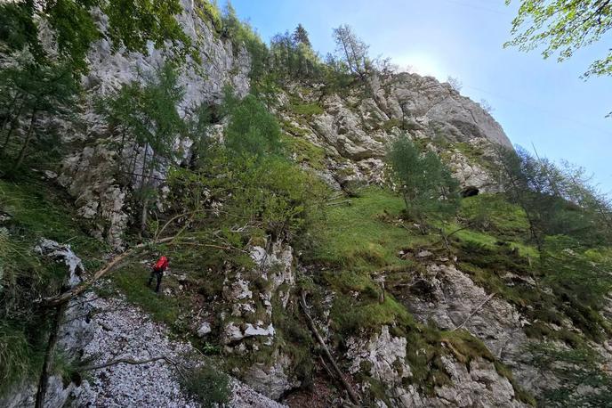 Iskalna akcija, Velika planina | Iskalna akcija se je končala v ponedeljek, 31. avgusta, ko so pogrešano osebo našli na strmem, tehnično zahtevnem in z gozdom poraslem območju. | Foto Arhiv DGRS Kamnik