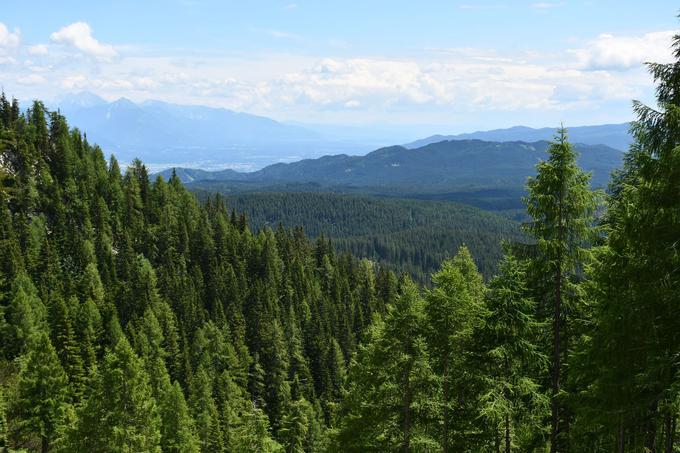 Zelena svetovalnica, neodvisna in brezplačna pravna svetovalnica, je namenjena dajanju pravnih nasvetov vsem, ki vam je mar za naše skupno okolje. | Foto: 