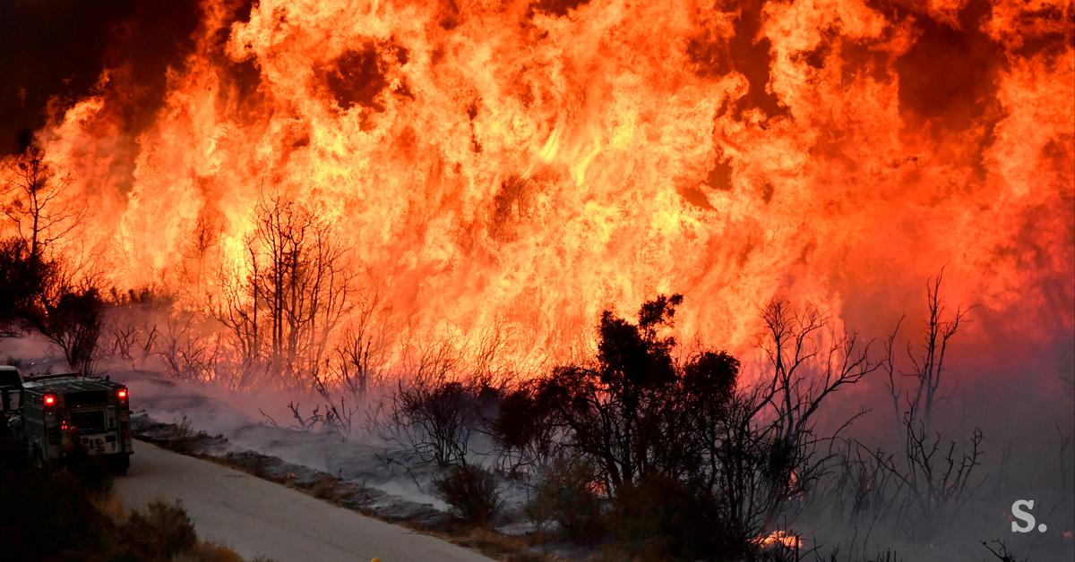 Portugal em chamas: mais de mil bombeiros combatem o incêndio #vídeo