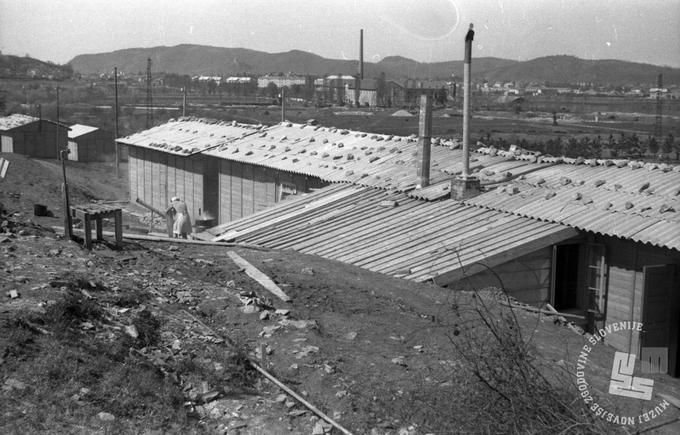 Začetki gradnje Nove Gorice. Fotografija je bila posneta aprila 1948. | Foto: Foto: Jožica Jeraj, hrani: Muzej novejše zgodovine Slovenije.