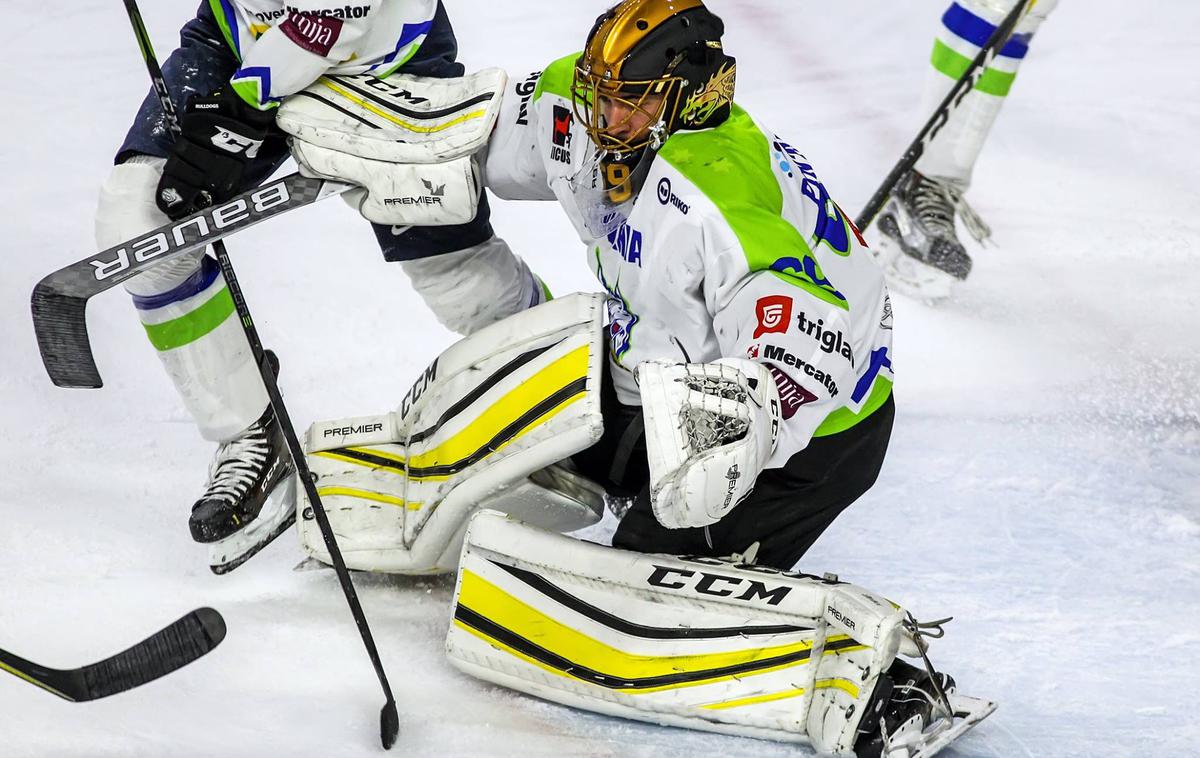 slovenska hokejska reprezentanca EIHC Cergy Matija Pintarič | Foto HZS/Drago Cvetanovič