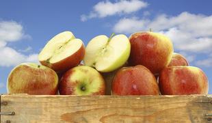 Minuta za zdravje: Jabolka za dihanje s polnimi pljuči