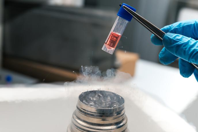 Matične celice, Biobanka | Minulo soboto so bili obveščeni, da je v dveh krioposodah temperatura začela naraščati in je prešla omenjeno dovoljeno mejo. | Foto Shutterstock