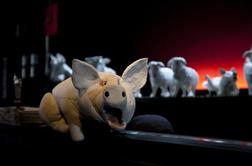 Ko živali zategujejo pas