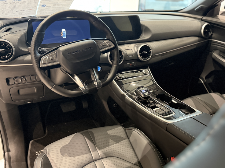 Dongfeng Forthing | Foto: Gregor Pavšič