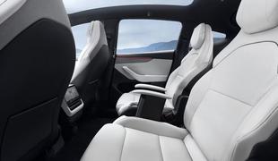 Tesla s šestimi sedeži: poglejte v notranjost #foto