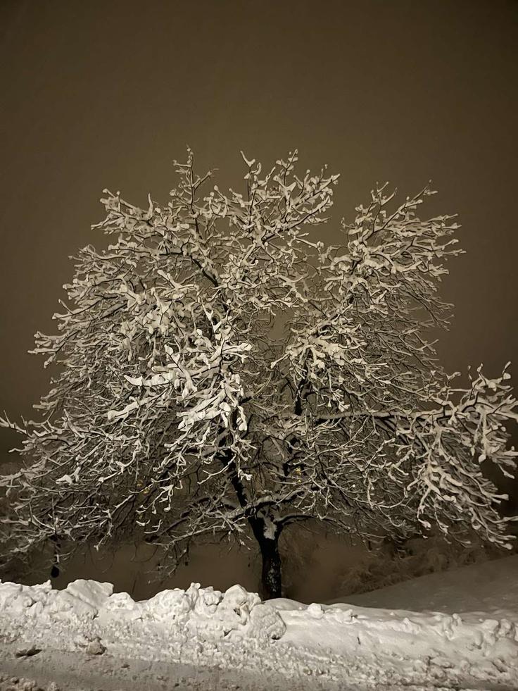 Ptujska gora, sneg | Foto: Bralec