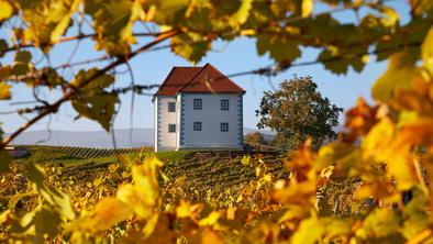 Degustacija za dve osebi v slovenski Toskani #nagradna igra