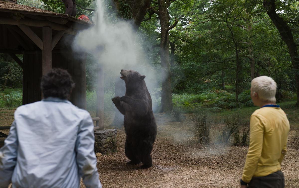 Medved na koki | Foto Karantanija Cinemas