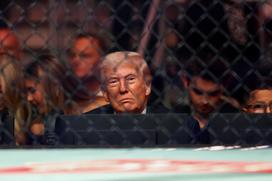 Donald Trump, UFC