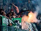 Green Dragons