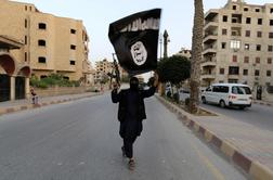 Arabske države za soočenje z džihadisti IS