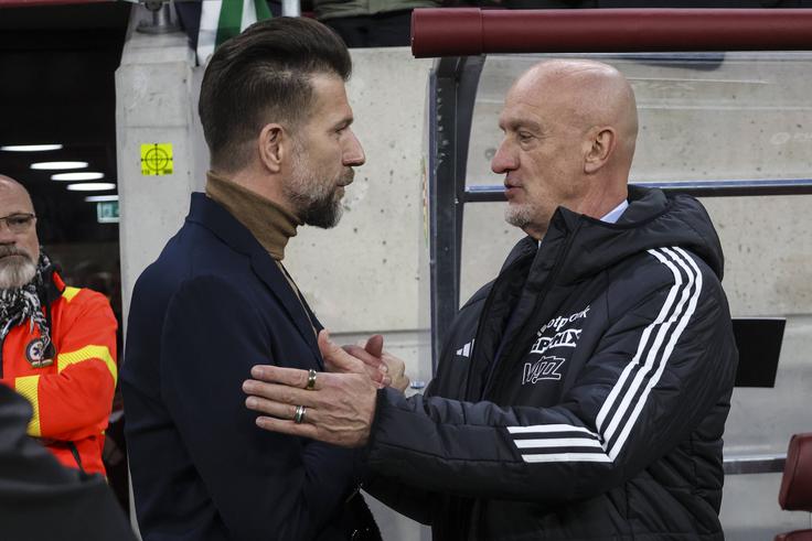 Boštjan Cesar je reprezentanco prvič vodil na Madžarskem in izgubil prijateljski dvoboj z 0:1.
 | Foto: Guliverimage