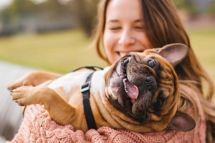 Pes | Japonski raziskovalci so ugotovili, da psi jočejo, ko so čustveno vznemirjeni. | Foto Shutterstock