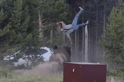 Šokanten napad v Yellowstonu: ogromen bizon napadel turista #video