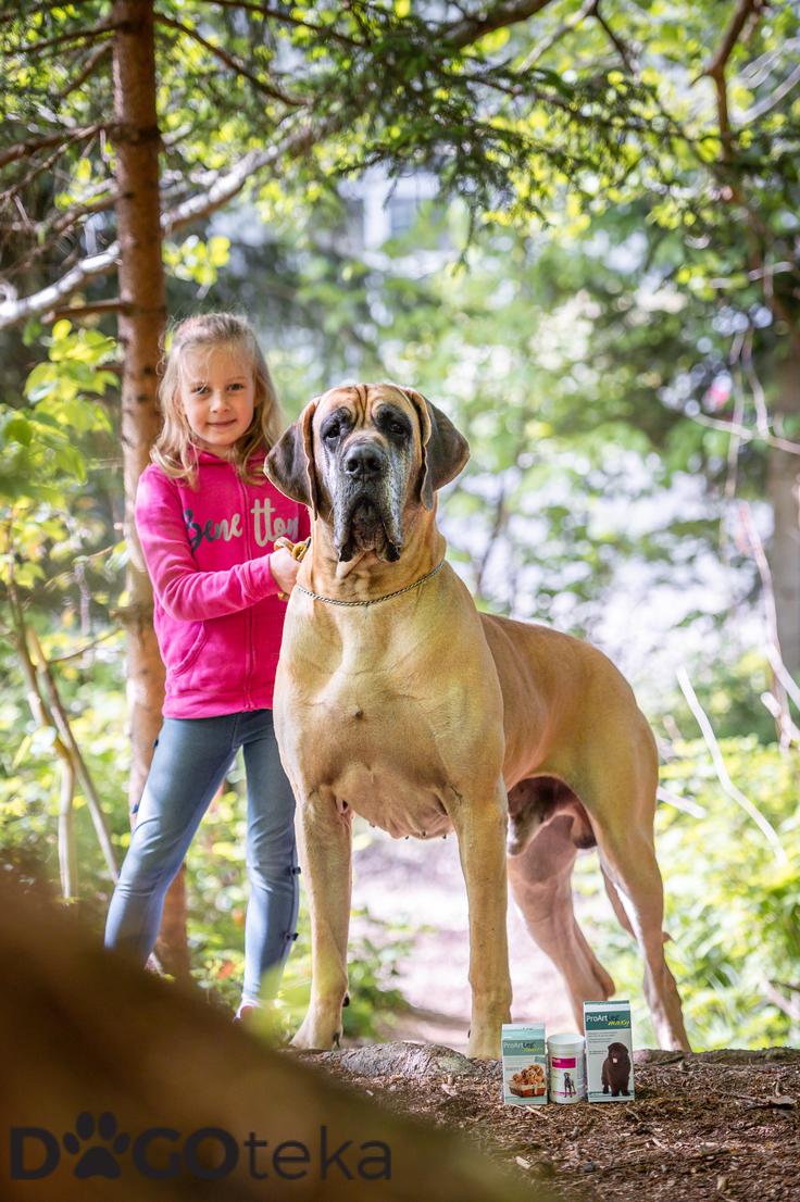 Dogoteka, članek 2 | Foto: 