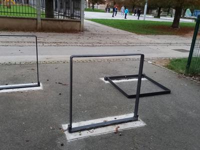 Nesrečna psička poginila zaradi malomarnosti