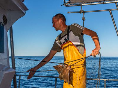 Pristna Istra na krožniku in morju: neprecenljiva doživetja v Rovinju