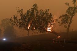 V delu Avstralije končno dočakali dež, onesnažen zrak ogroža zdravje