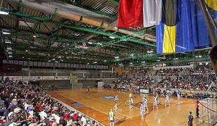 Švedska pretrd oreh