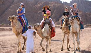 Pozimi v Egipt: sončna Hurgada in Šarm el Šejk s super all inclusive ponudbo!