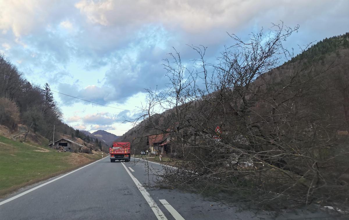 Veter Trojane | Tako močan je bil veter pred nekaj dnevi na Trojanah. | Foto Bralka