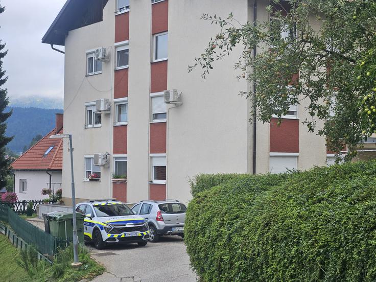 Poteka ogled kraja tragedije.  | Foto: Vesna Pušnik Brezovnik/STA