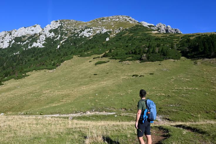 Na Zgornji Dolgi njivi je levo nad nami Tolsta Košuta. | Foto: Matej Podgoršek