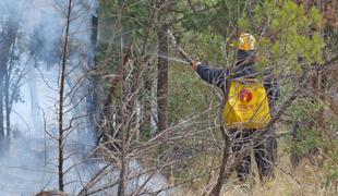Požar pri Trogirju pod nadzorom hrvaških gasilcev #video