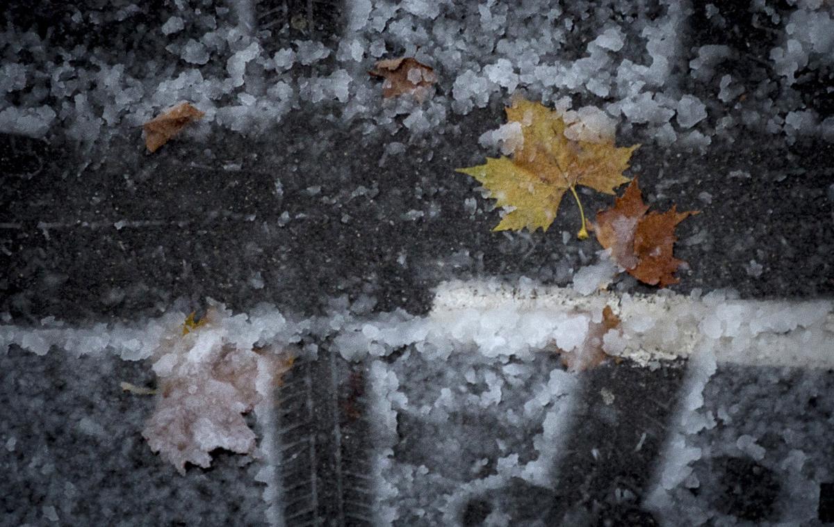 Ljubljano je pobelil prvi sneg. | Foto Ana Kovač