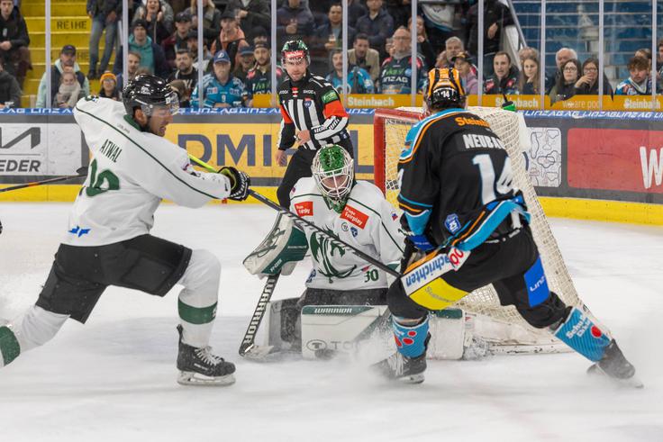 Linz ostaja šesti, Olimpija deveta. | Foto: BWL / Draxler