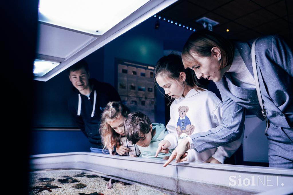 McDonald's, Akvarij Piran