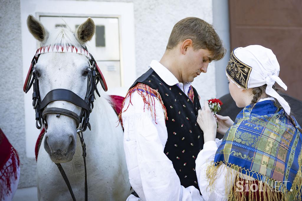 Posavsko štehvanje
