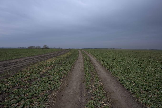 Fotografija polj v bližini Lvova. Ta in druga polja v Galiciji so med prvo svetovno vojno dobila vzdevek polja smrti. | Foto: Guliverimage/Vladimir Fedorenko