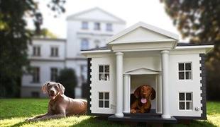 Dvorci za hišne ljubljenčke