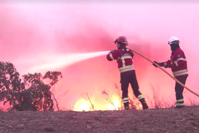 Portugalska požar | Tožniki državam očitajo nezadostno ukrepanje proti podnebnim spremembam. Sodišče v Strasbourgu po poročanju francoske tiskovne agencije AFP primer jemlje resno in ga je označilo za prednostno zadevo. | Foto Reuters
