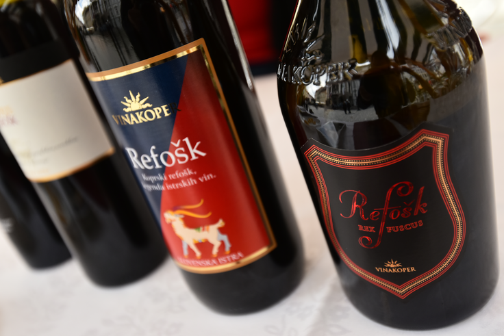 Refošk | Foto: STA ,