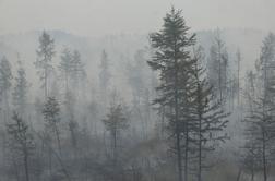 Na Braču izbruhnil gozdni požar