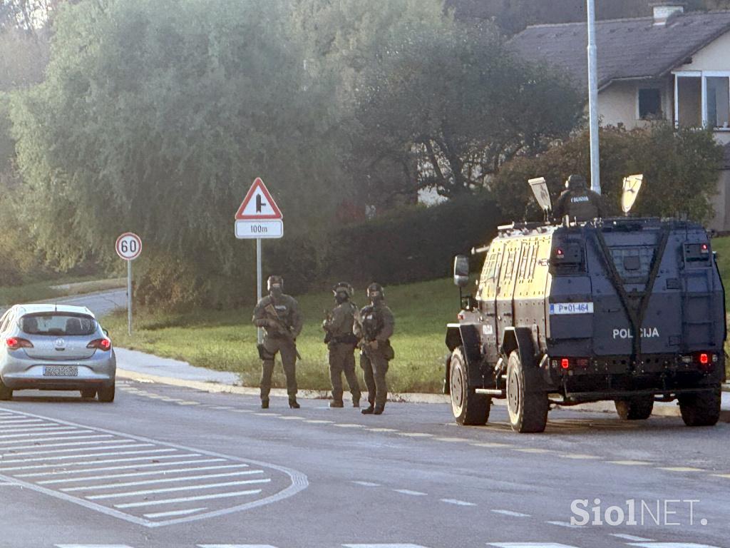 Novo mesto, policija, varnost