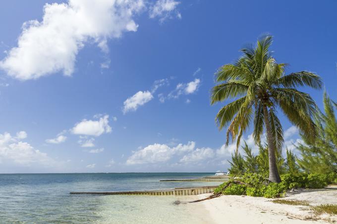 Ob ustanovitvi podjetja je Biser Bidco lastniško obvladovala ena od Apollovih družb s Kajmanskih otokov, davčne oaze v Karibskem otočju | Foto: Thinkstock