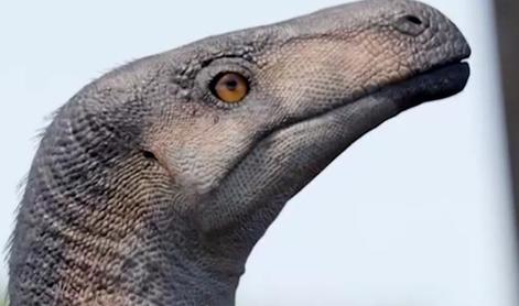 Odkrili skoraj popolno okostje enega najstarejših dinozavrov na svetu #video