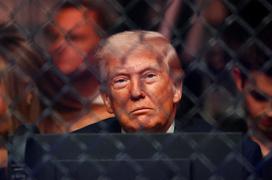 Donald Trump, UFC
