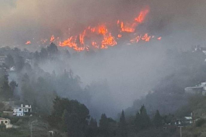 La Palma | Požar je izbruhnil na severozahodu otoka ter zaradi močnega vetra in vročinskega vala hitro napredoval. | Foto Reuters